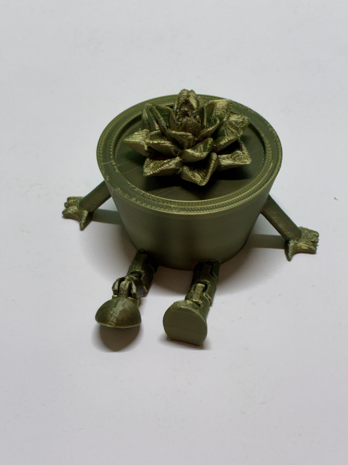 Articulated Plant