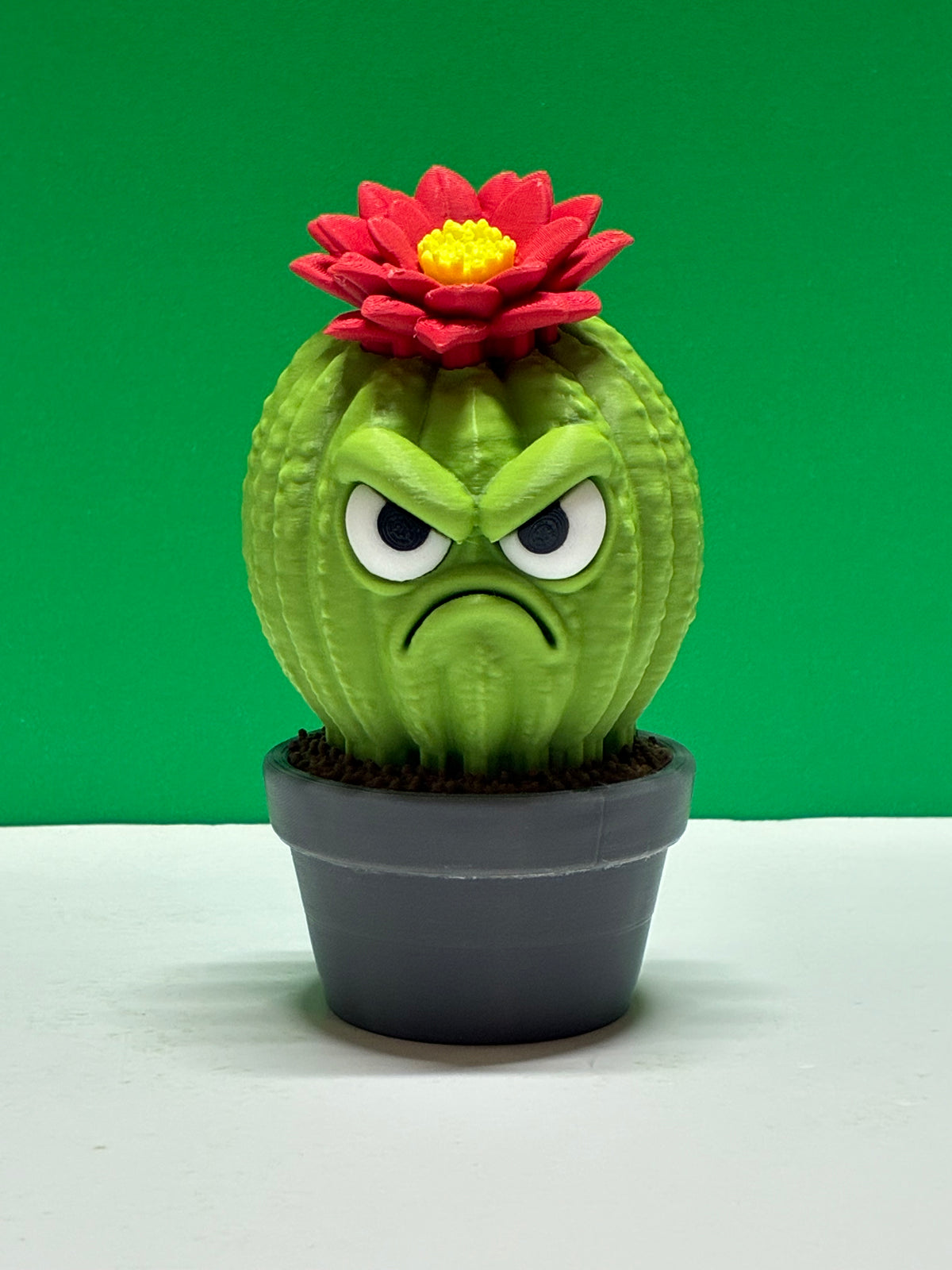 Grumpy Plants Flowering Cactus