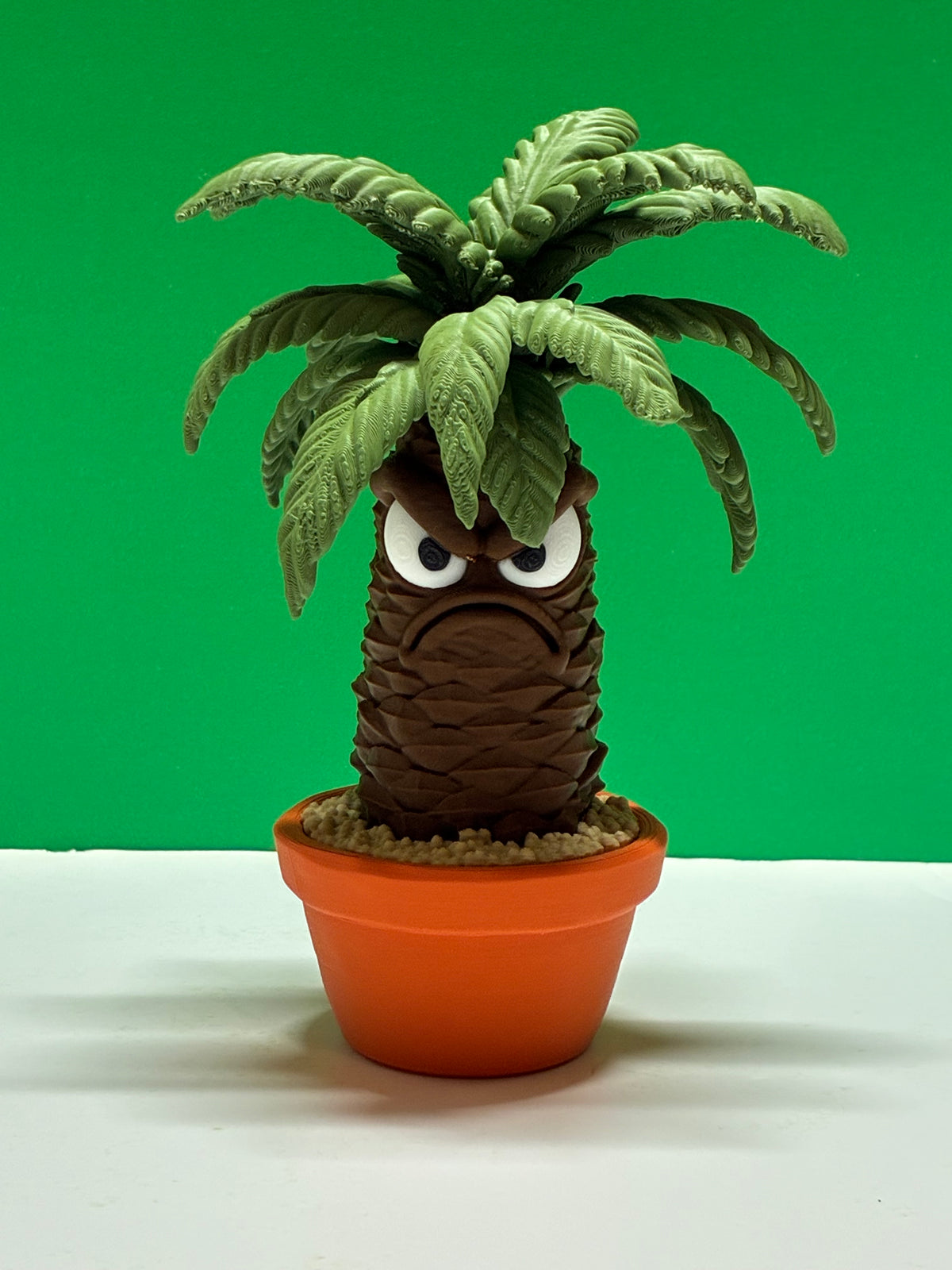 Grumpy Plants Palm
