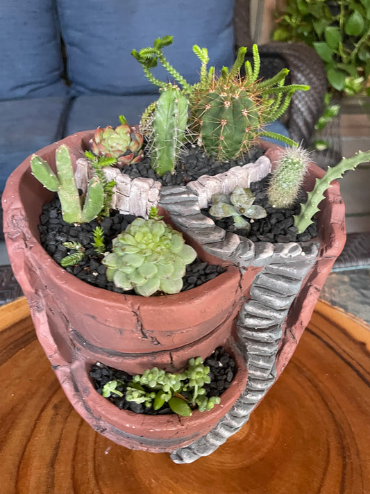 Cactus Combo Planter