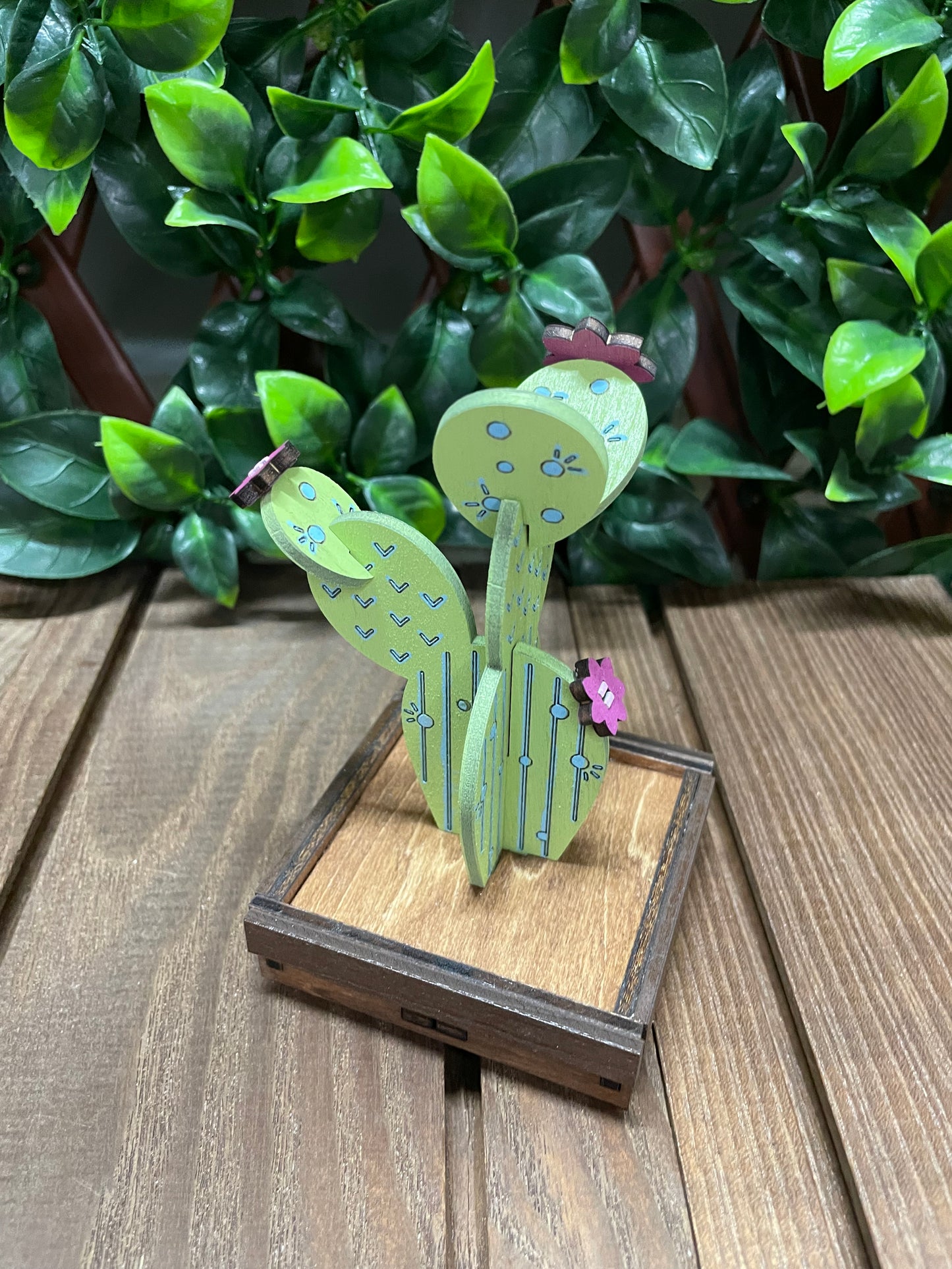 Bonsai Wooden Cactus