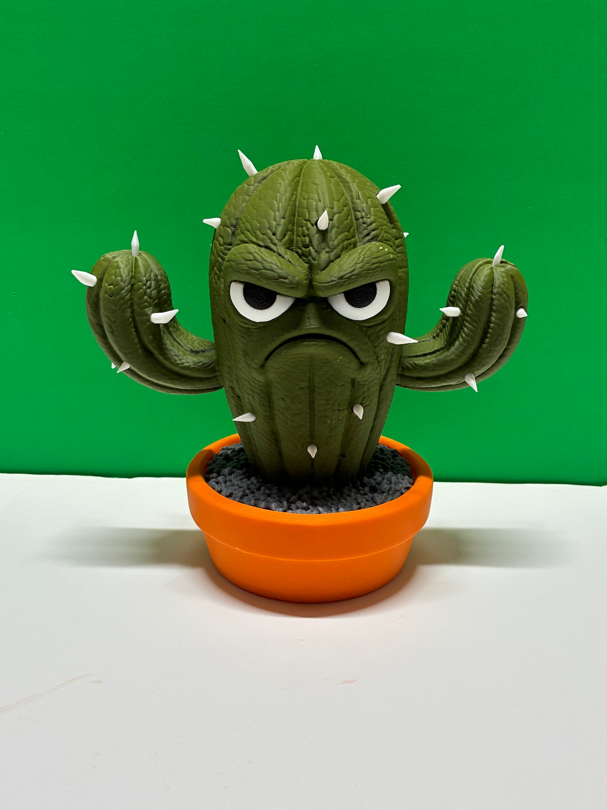 Grumpy Cactus