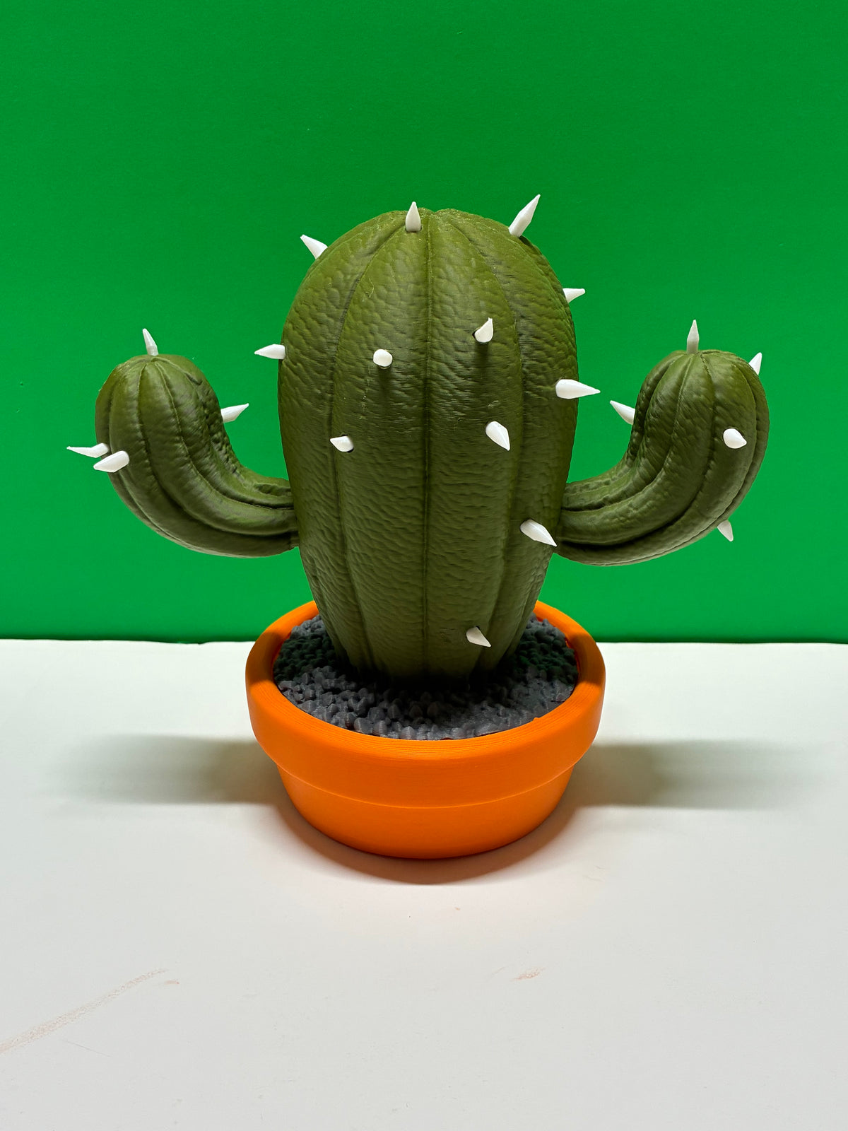Grumpy Cactus