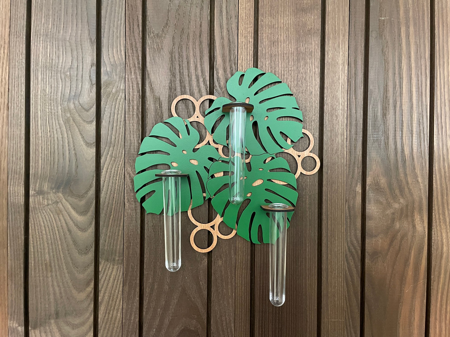 Monstera Propagation Station