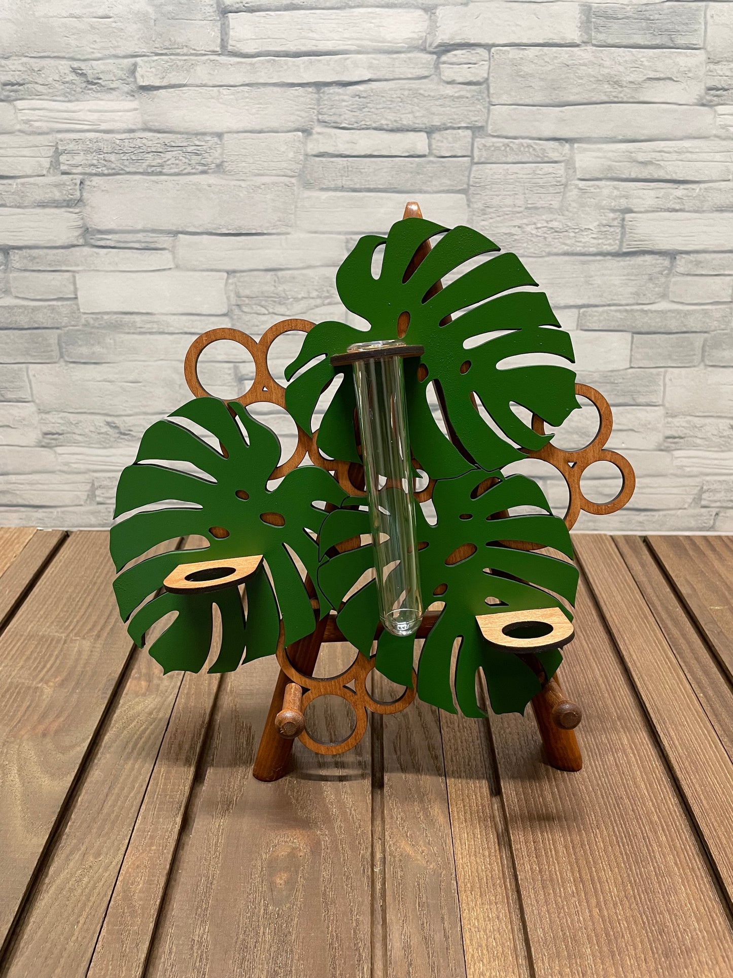 Monstera Propagation Station