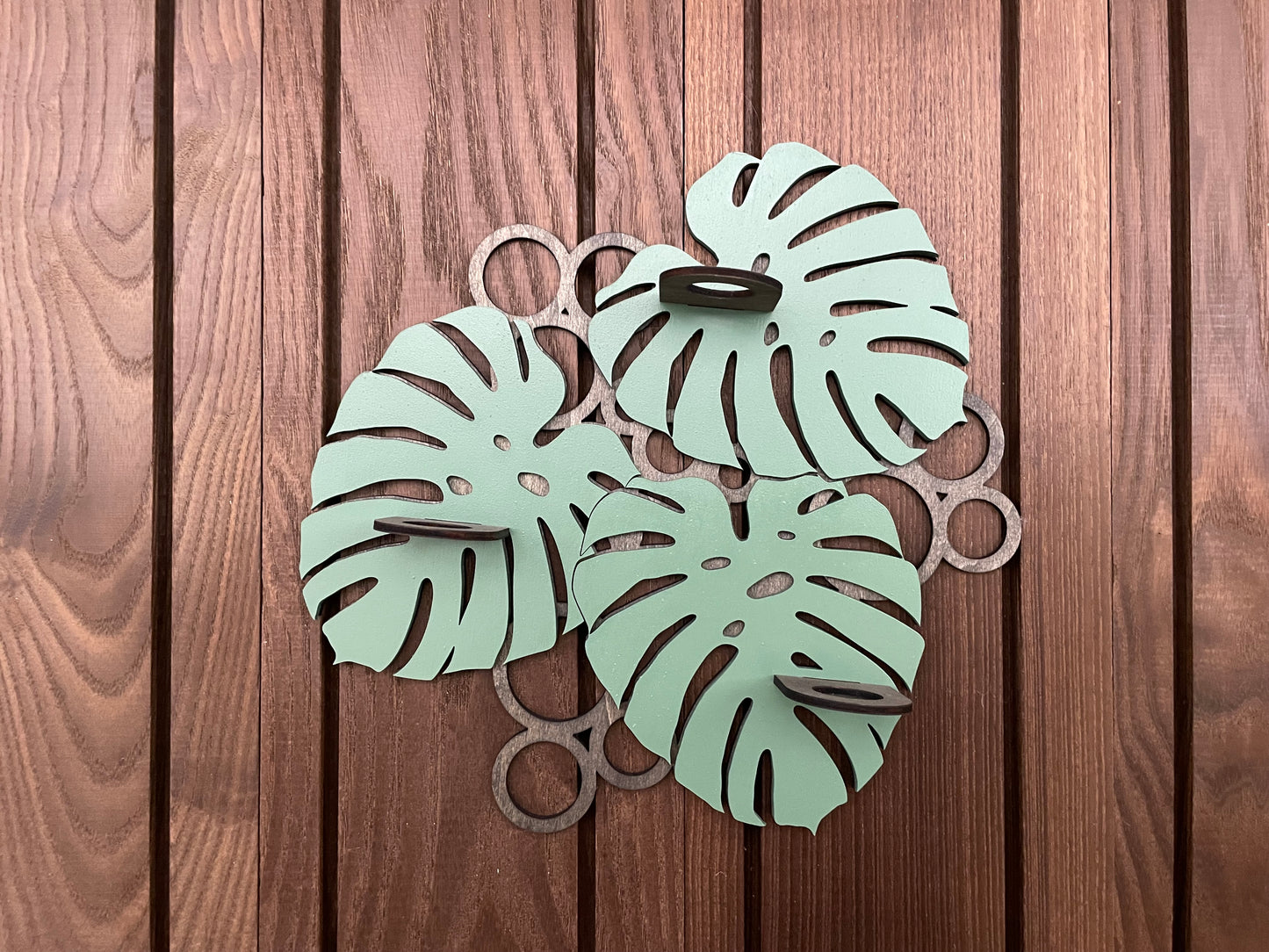 Monstera Propagation Station