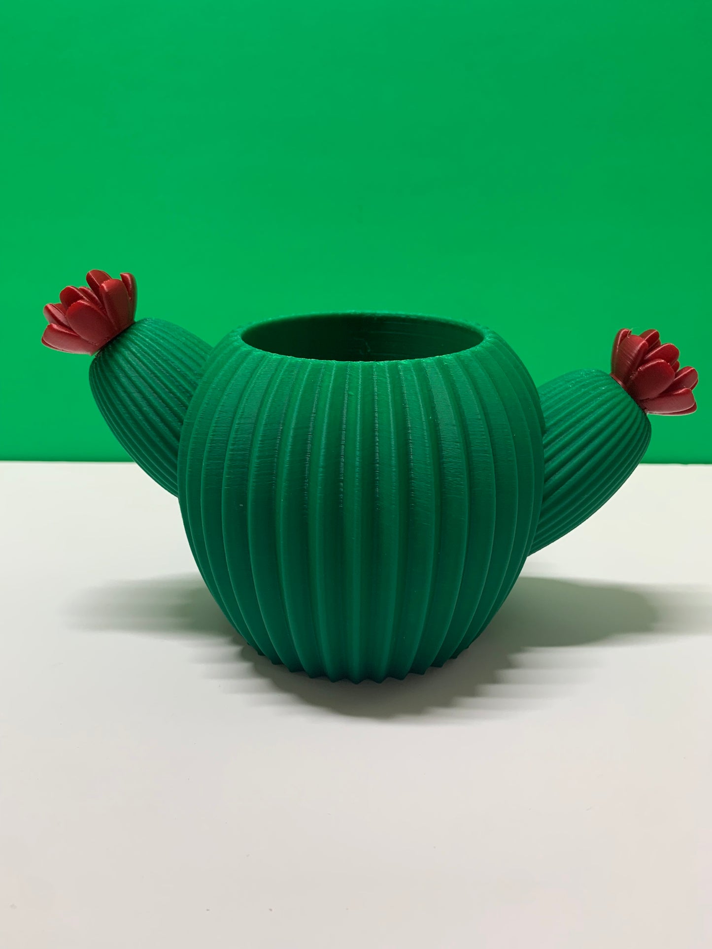 Cactus Planter
