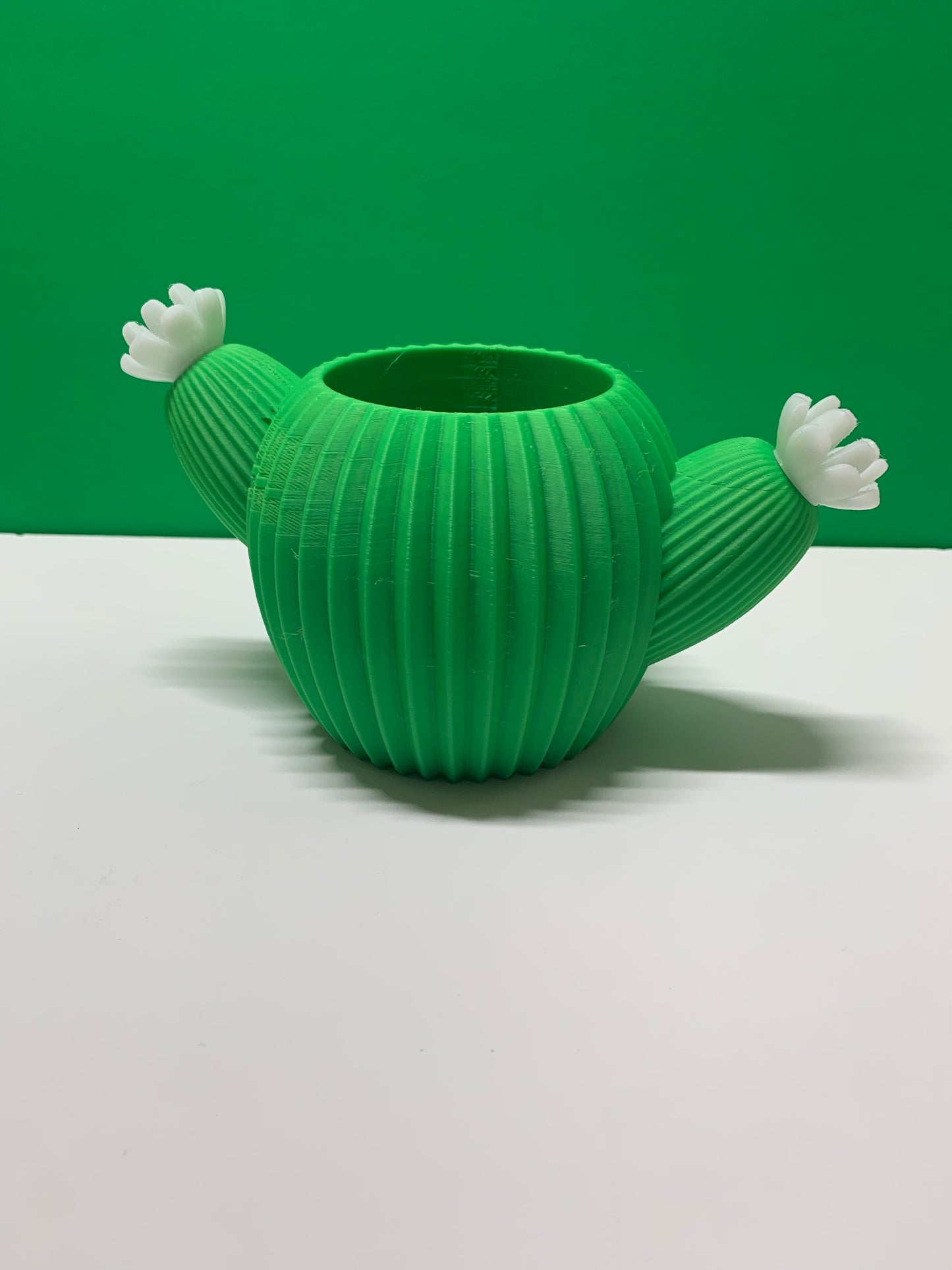 Cactus Planter
