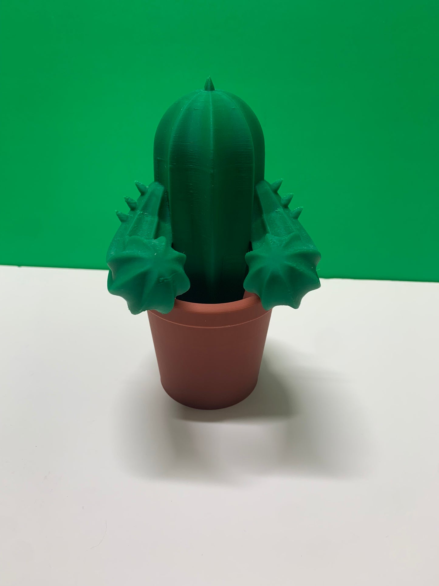 Cactus Sunglass Holder