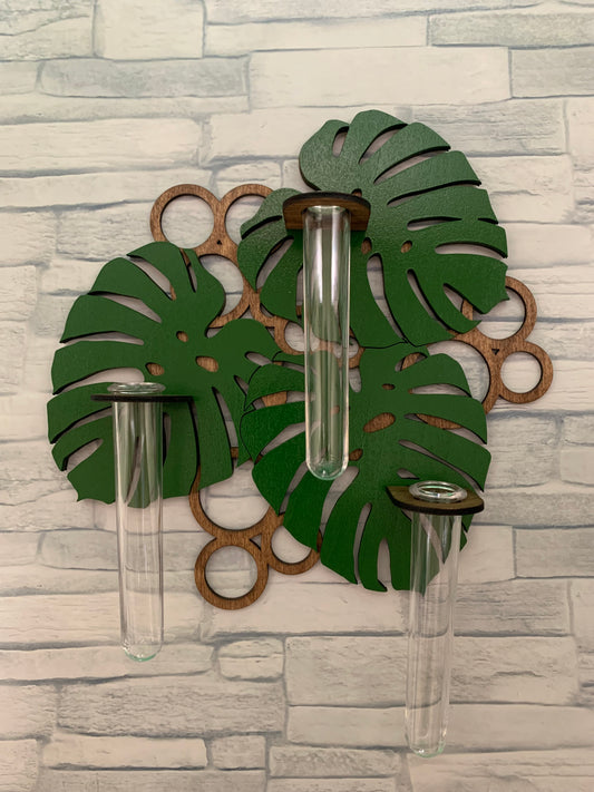 Monstera Propagation Station