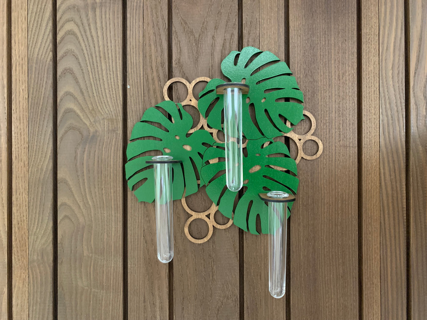 Monstera Propagation Station
