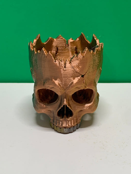 Human Skull Pot