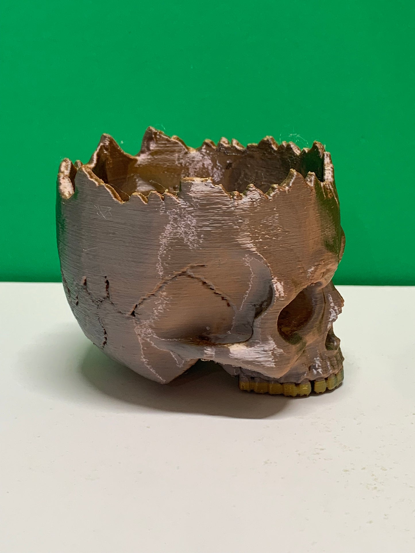 Human Skull Pot