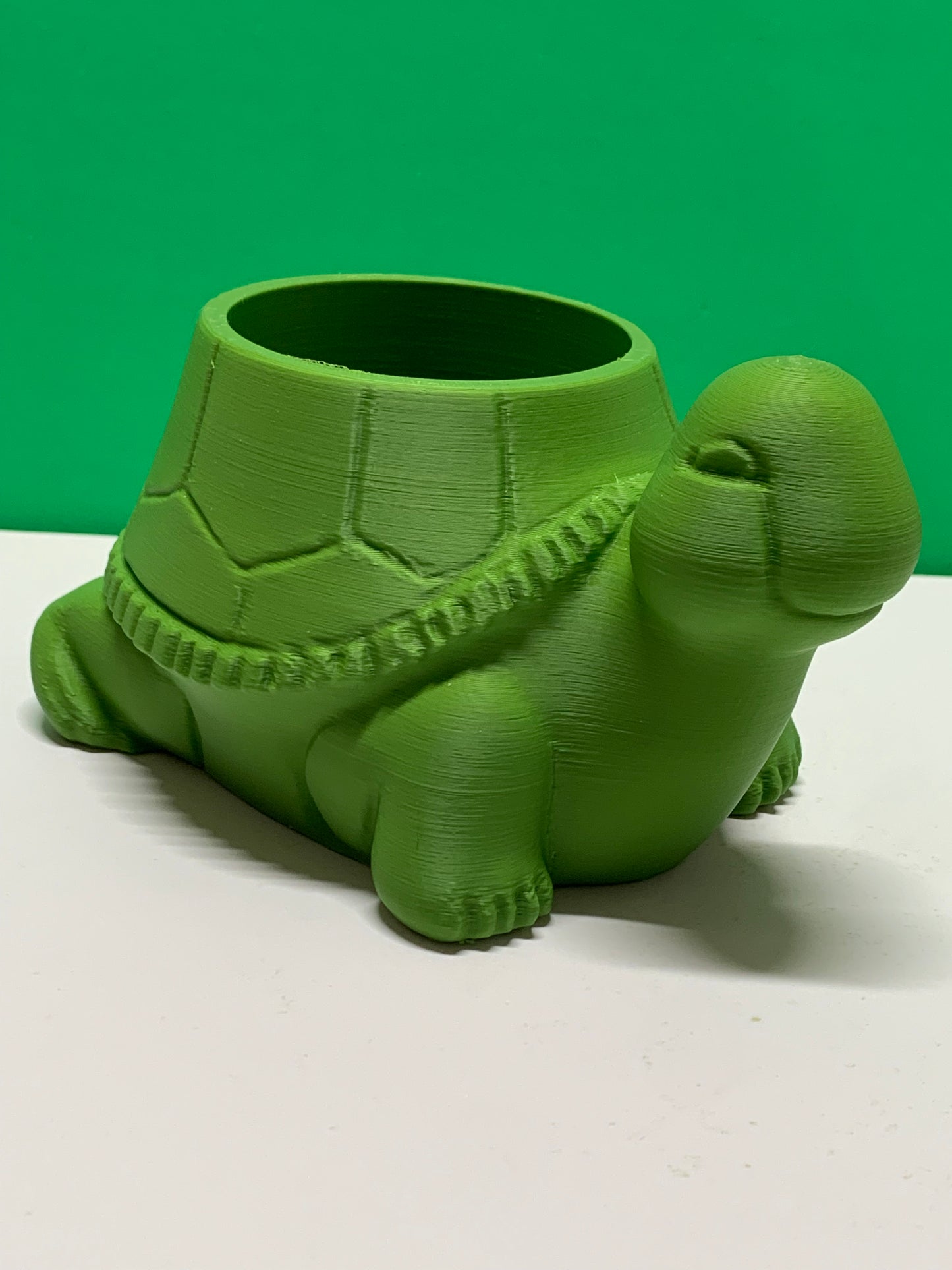 Turtle Pot