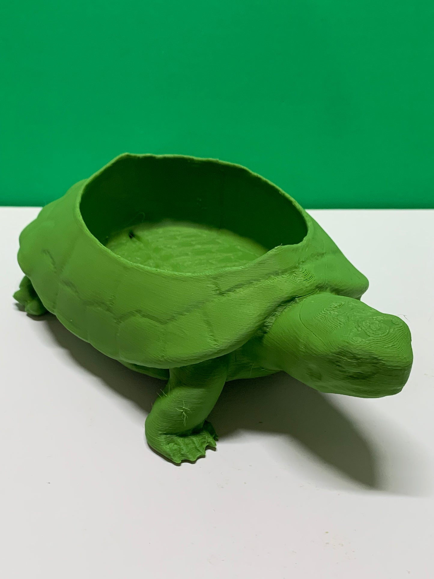 Turtle Planter Pot