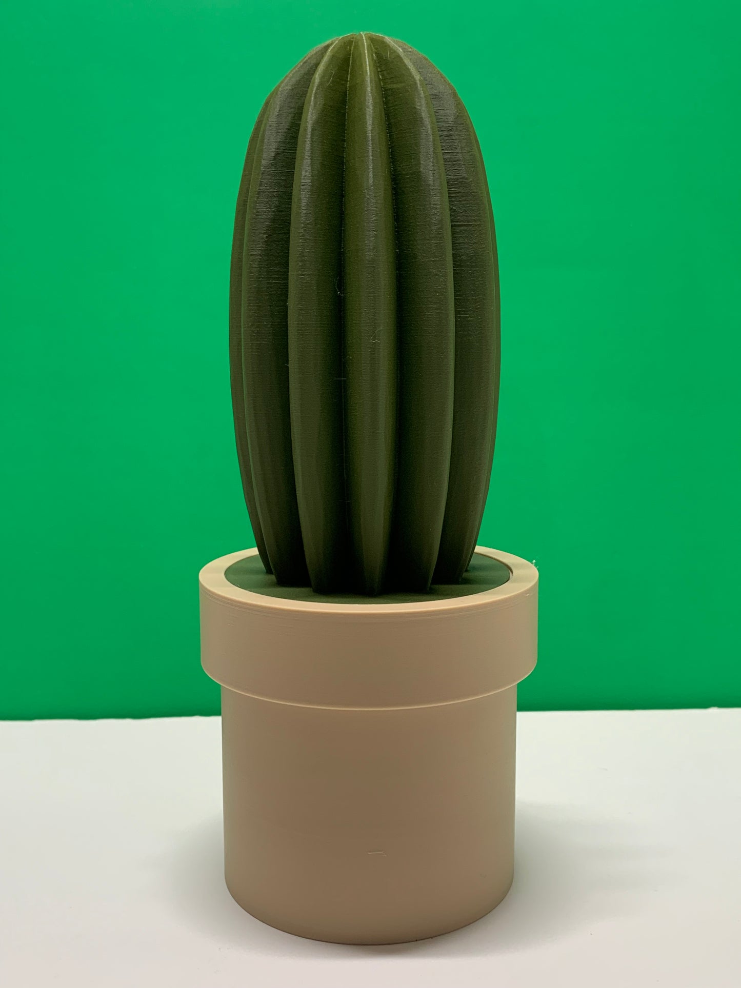 Cactus Storage Pot