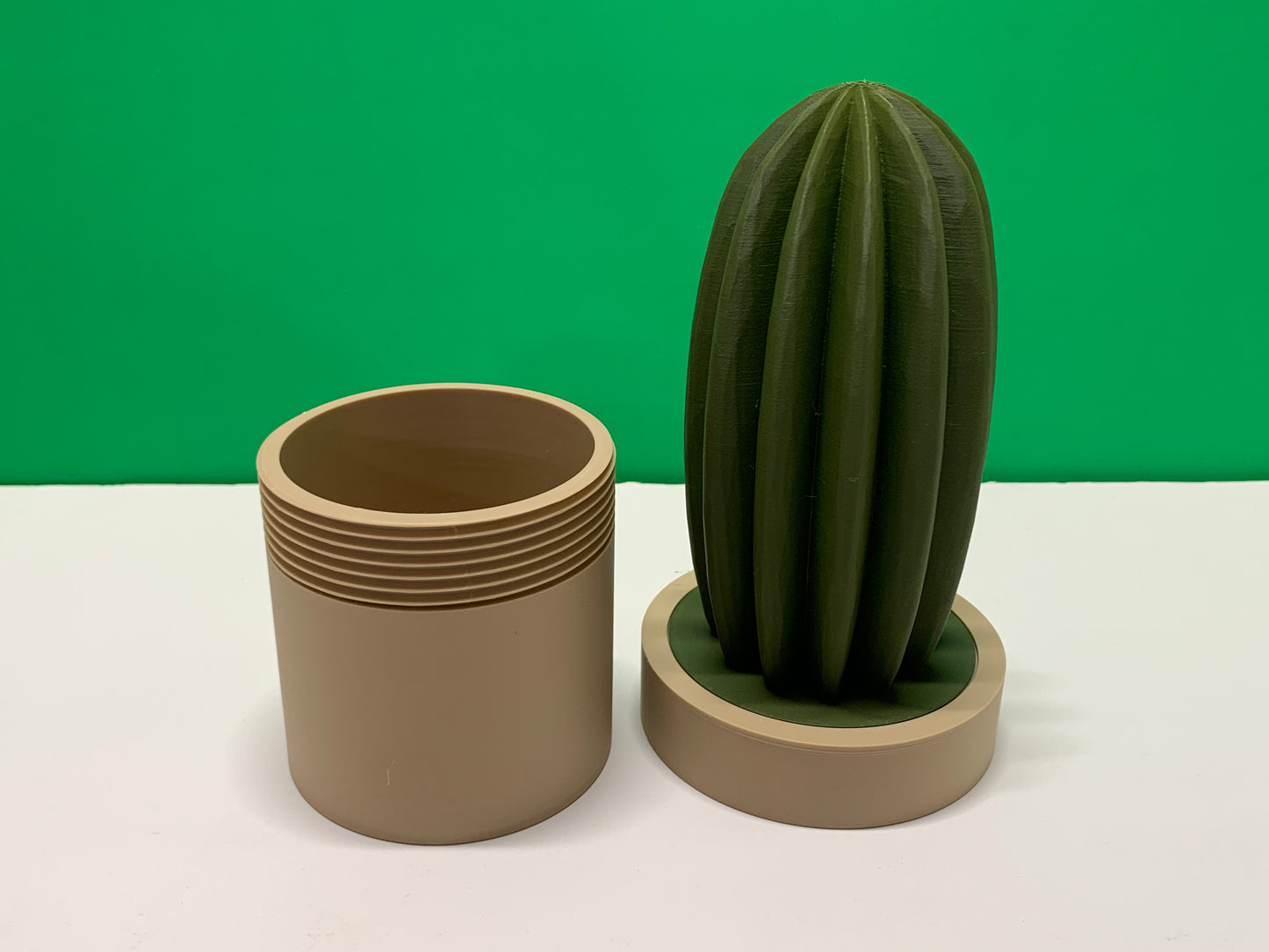 Cactus Storage Pot