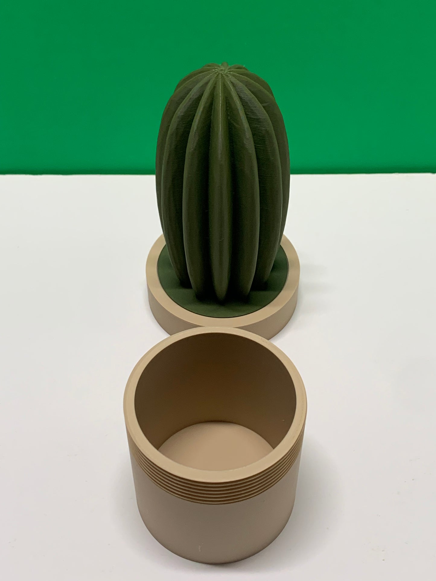 Cactus Storage Pot