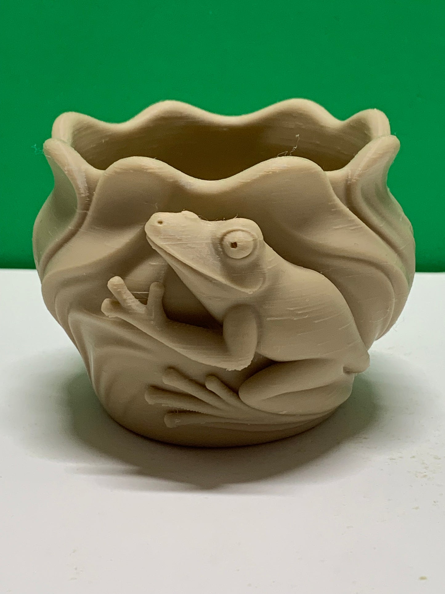 Frog Planter Pot