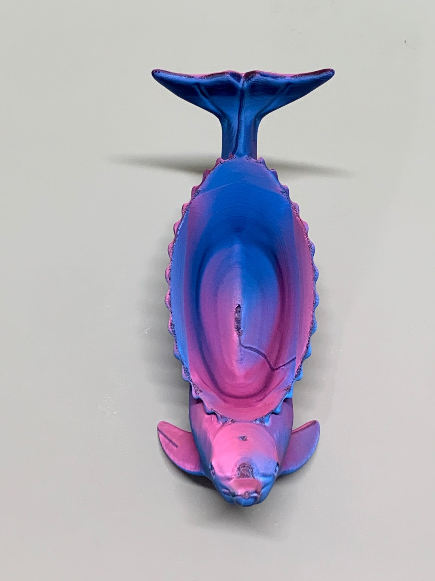 Dolphin Planter