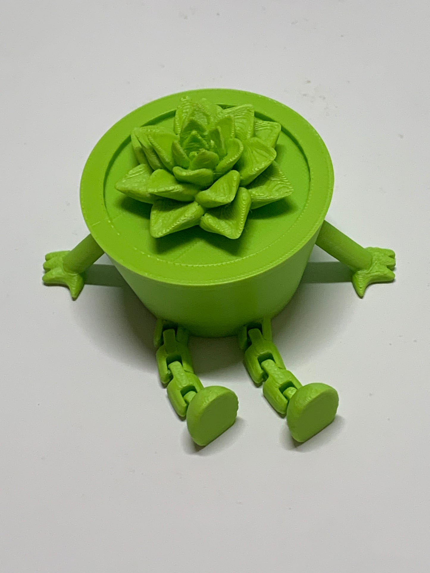Articulated Plant
